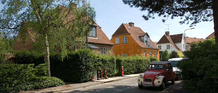 Buen 10 i sne og lidt solskin 